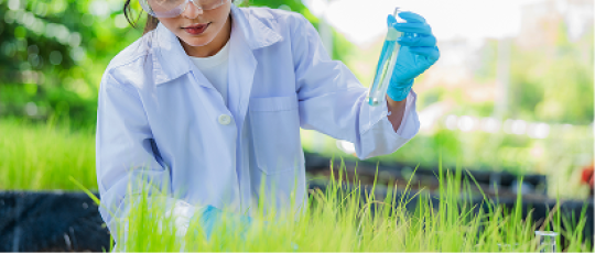 Valutazioni e autorizzazioni ambientali